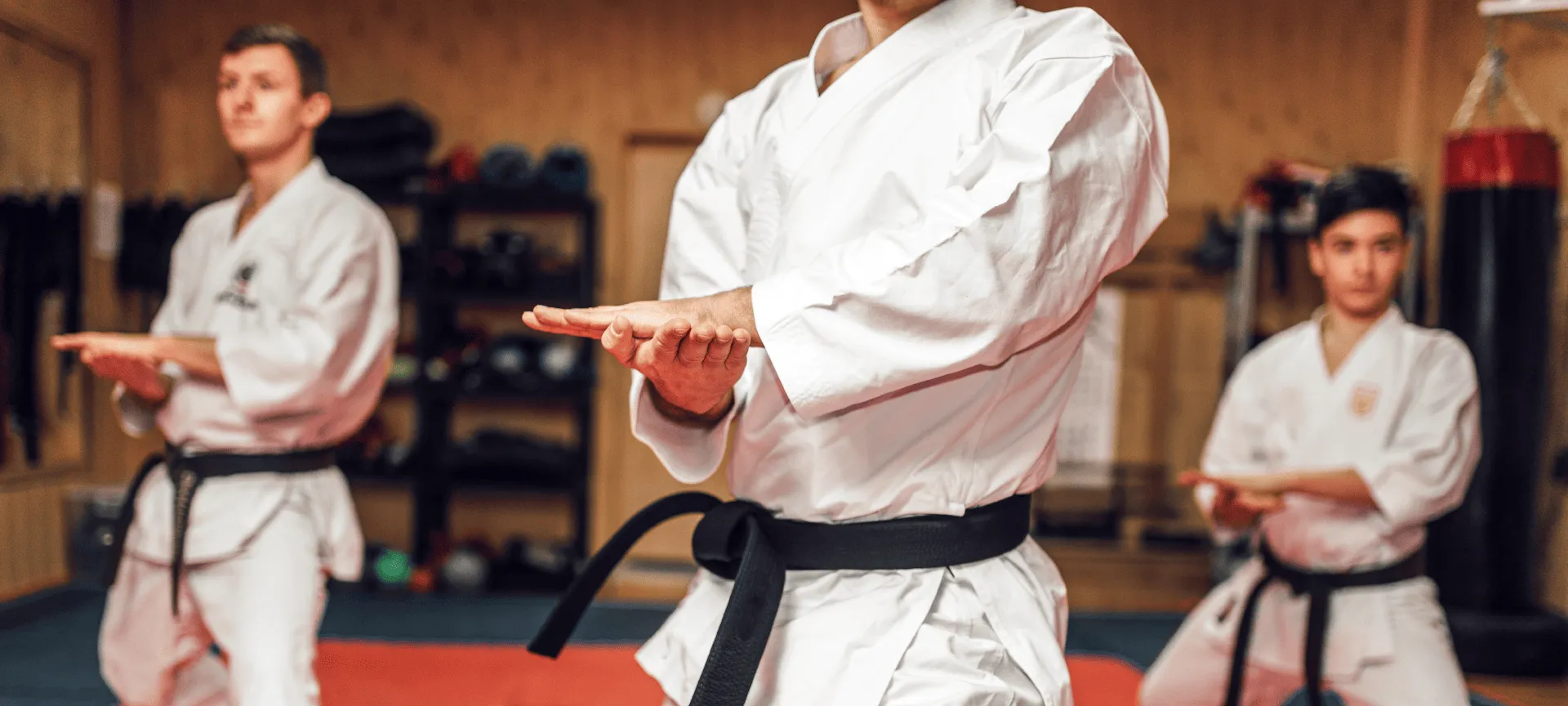 Olympic Combat Sports camp: training, facilities or accommodation